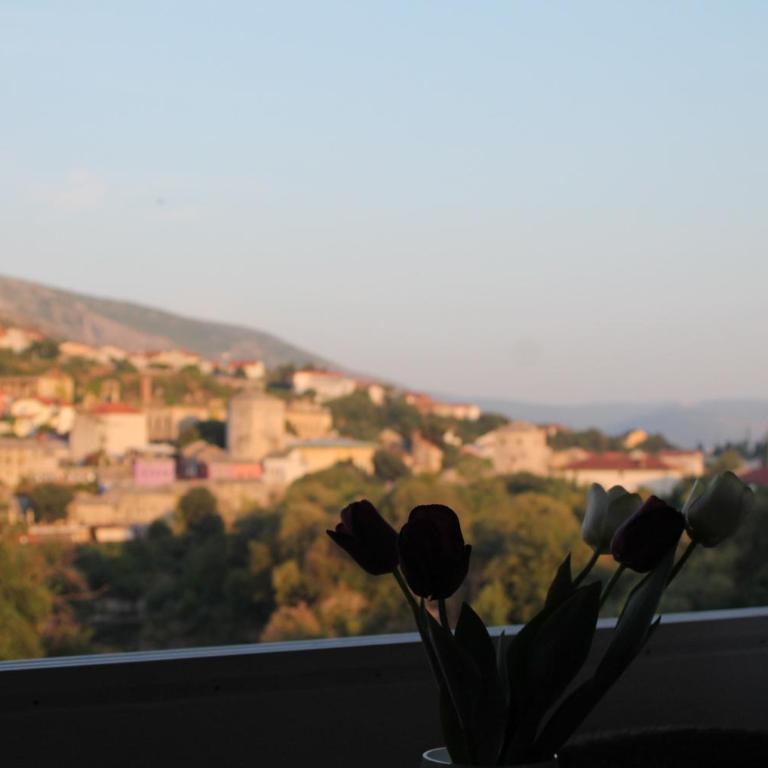 Dream View Apartments - Two-Bedroom Apartment - 25