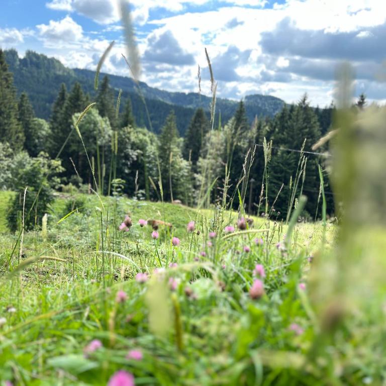 Siebenschläferhütte - Ferienhaus - 4