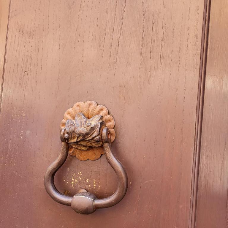 San Peter Borgo 68 - Apartment - 41