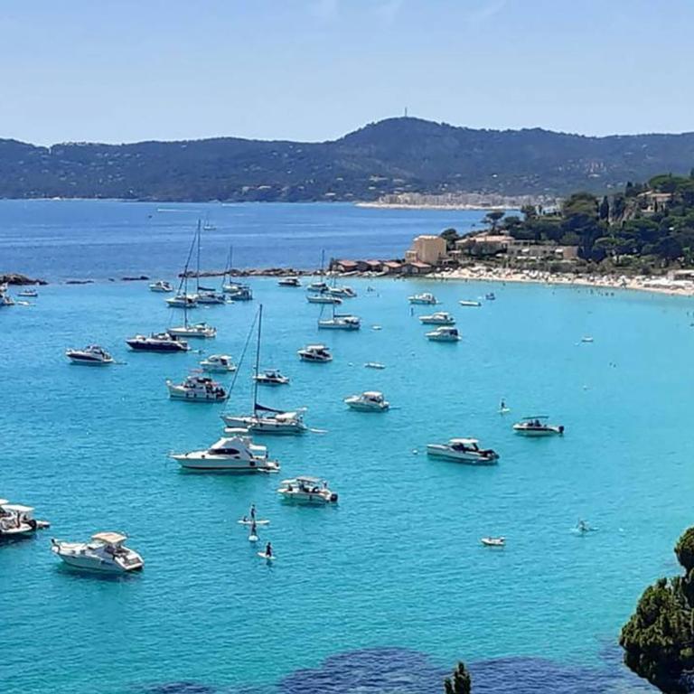 Charmant T2 au Lavandou pour 4, proche plage - FR-1-803-14 - Apartment - 1