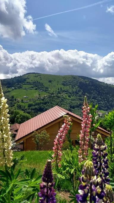 Chalet d'exception, spa et sauna, 4p - Chalet de 2 dormitorios - 30