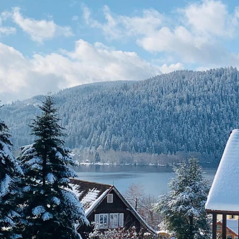 Duplex dans chalet avec superbe vue lac et piscine commune - Appartement 2 Chambres - 24