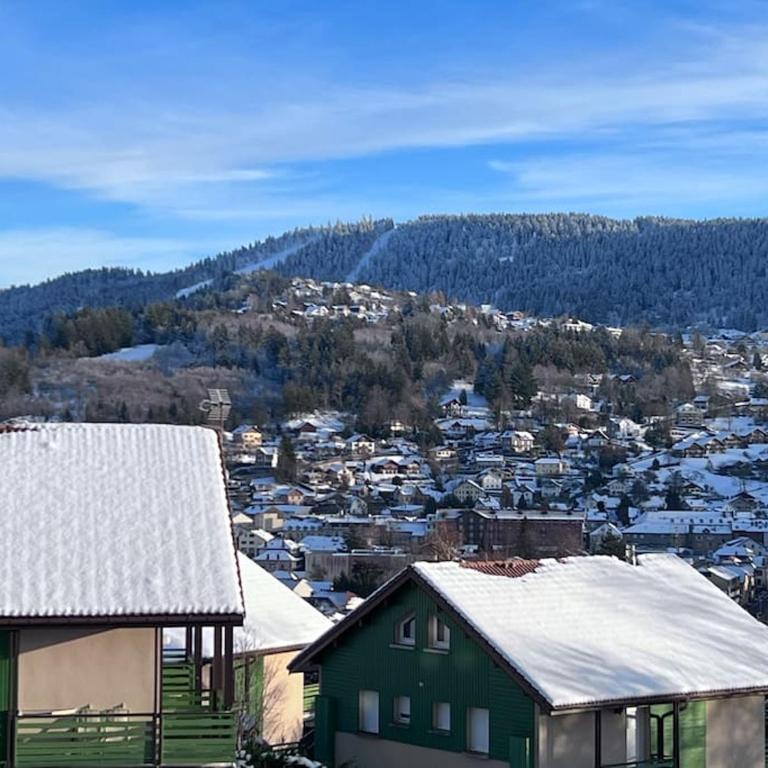 Duplex dans chalet avec superbe vue lac et piscine commune - Appartement 2 Chambres - 23