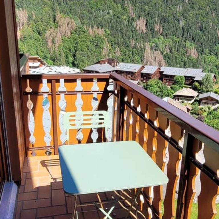 Location 2 pièces avec accès skis aux pieds à Saint-Jean-d'Aulps - Appartement 1 Chambre - 1