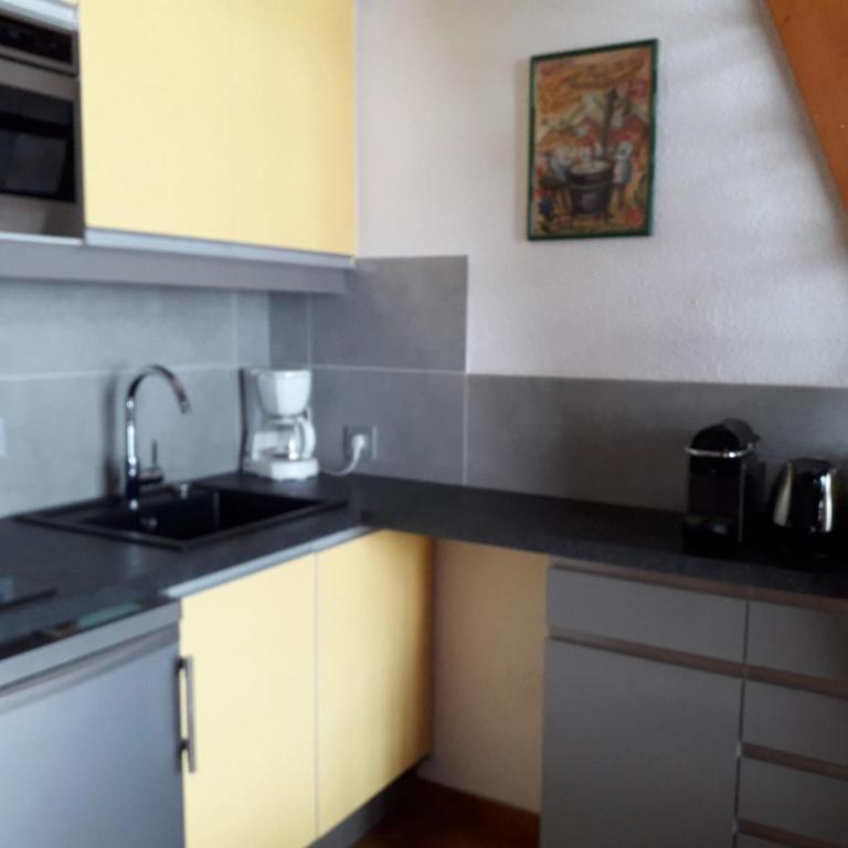 Studio Mezzanine Châtel, Parking, 4 pers. - FR-1-676-111 - Studio - 4