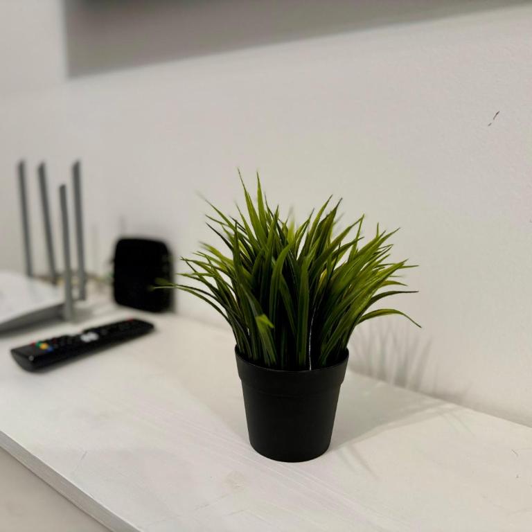 Modern Studio in City Center - Apartamento de 3 dormitorios - 9