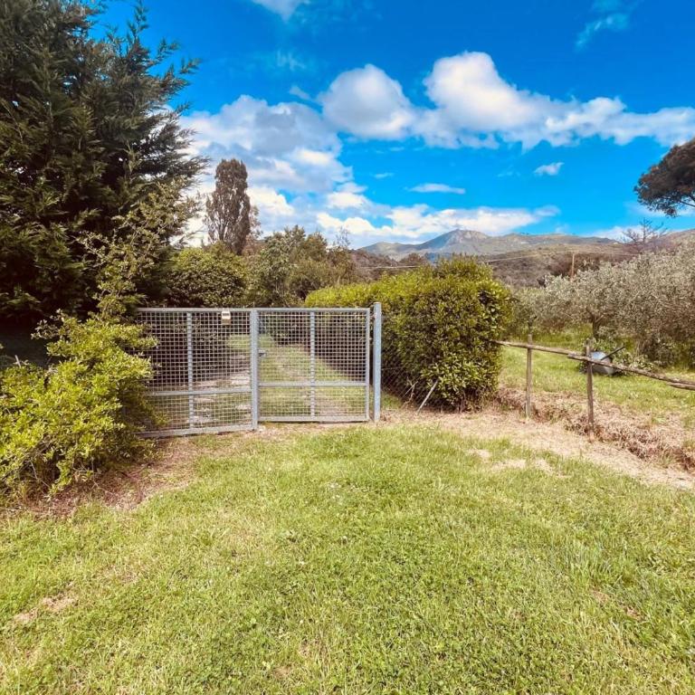 Monolocale Le Mimose - Appartamento con 1 Camera da Letto - 11