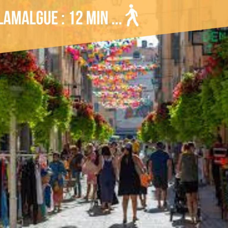 La Perle du Mourillon-WIFI-Spacieux Haut de gamme - Apartment mit 1 Schlafzimmer - 8