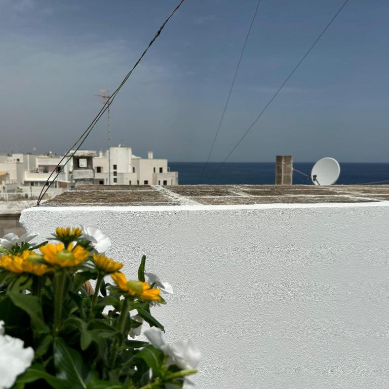 Trame Poesia di mare 2 - Camera Matrimoniale con Balcone e Vista Mare - 11