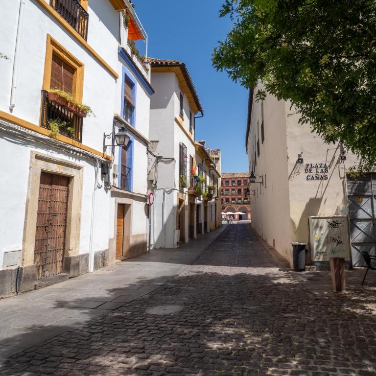 BHost - Las Cañas - Apartamento de 1 dormitorio - 62