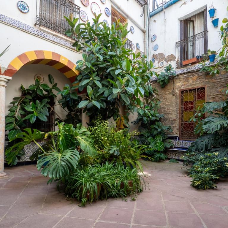 BHost - Las Cañas - Apartamento de 1 dormitorio - 59