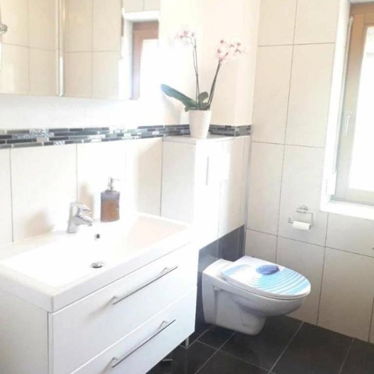 Panorama - Apartment mit Dusche - 15