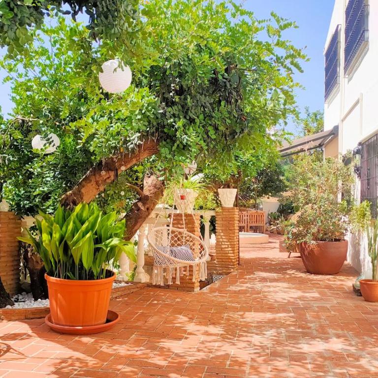 Finca La Vida Loca- For adult guests - Studio Apartment - 2
