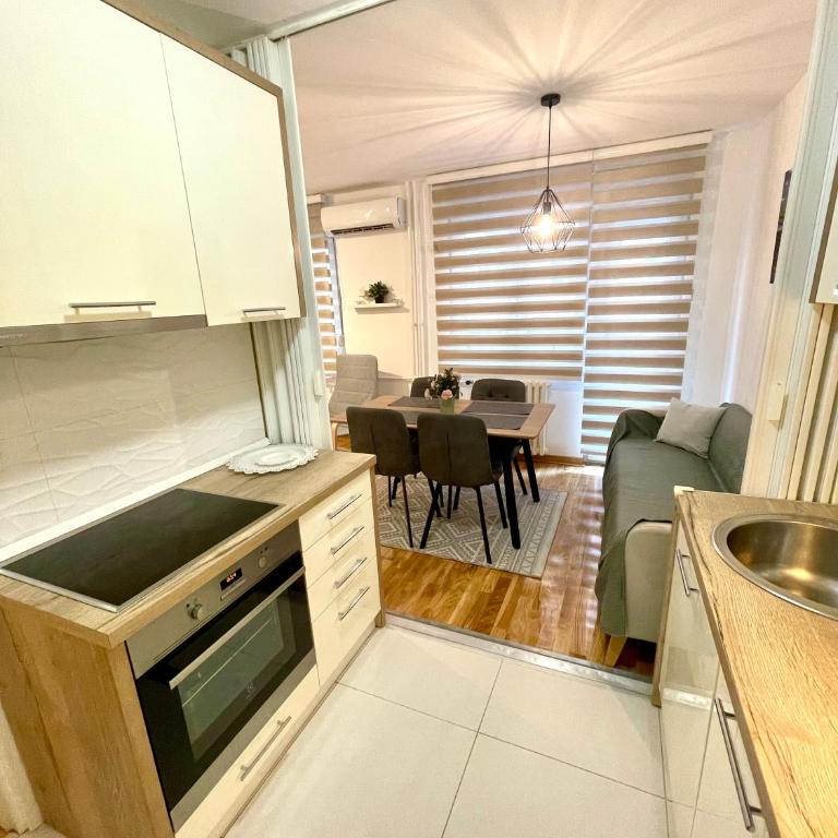 Tiara Vracar Apartment - Apartman sa 1 Spavaćom Sobom - 24