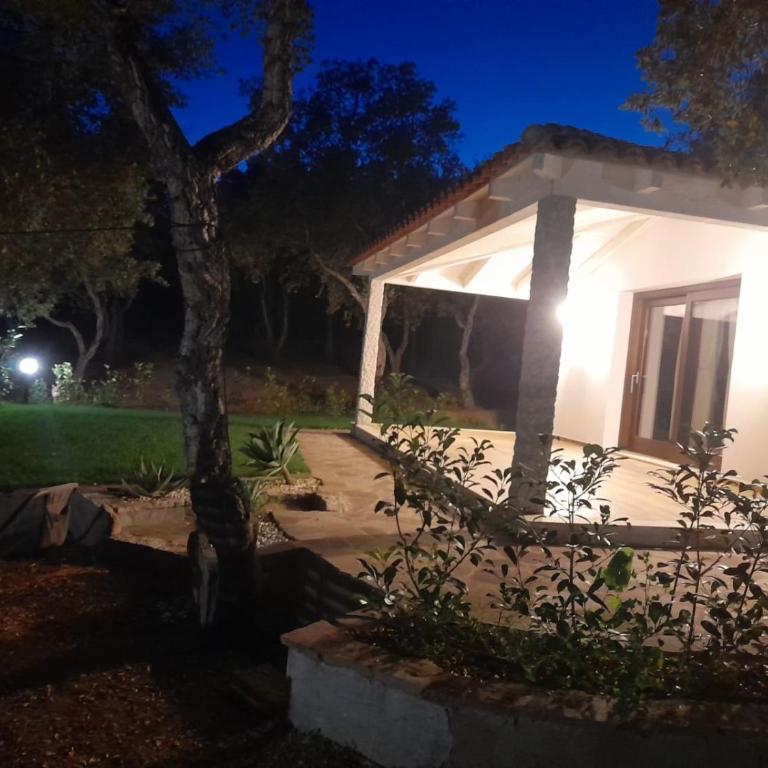 Serenella - Casa con 1 Camera da Letto - 19
