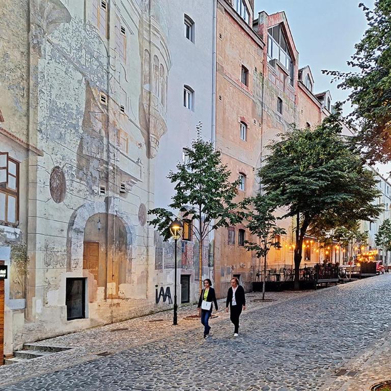 Skadarlija discovery Beograd centar lux - Apartman sa 1 Spavaćom Sobom - 6
