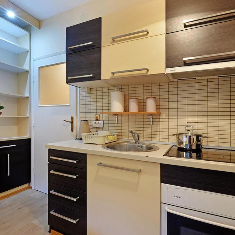 Skadarlija discovery Beograd centar lux - Apartman sa 1 Spavaćom Sobom - 14