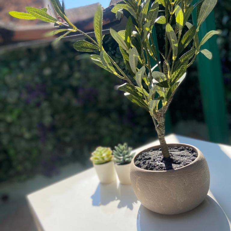La Casa di Noah - Two-Bedroom House - 14