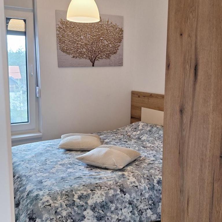 Lux D2 Divčibare - Apartman sa 1 Spavaćom Sobom - 11