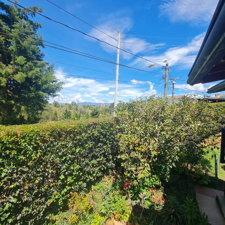 Apartamento campestre Rionegro - Apartamento de 2 dormitorios - 19