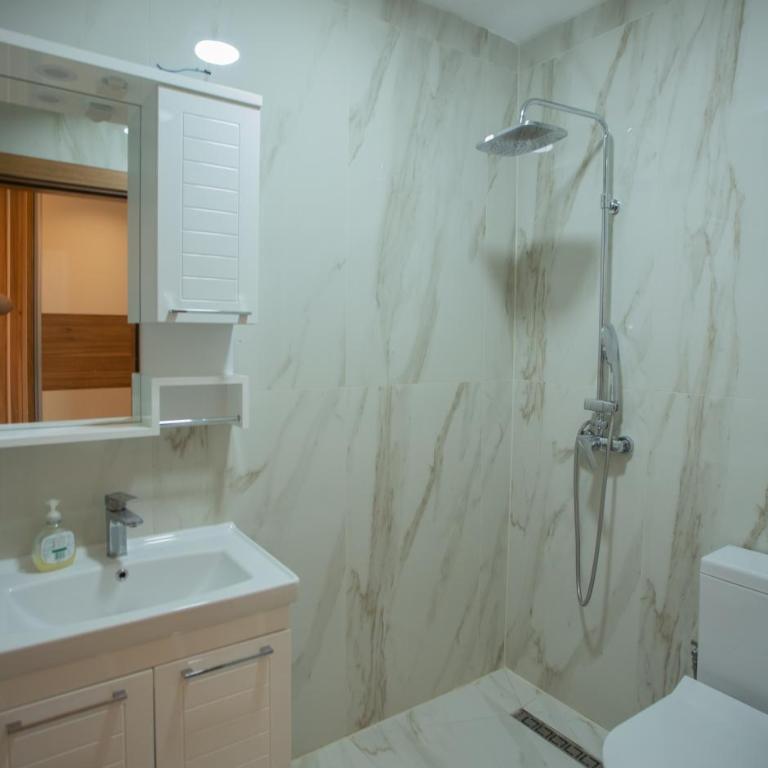 Amber Lux Apartments - Apartman sa 1 Spavaćom Sobom - 6