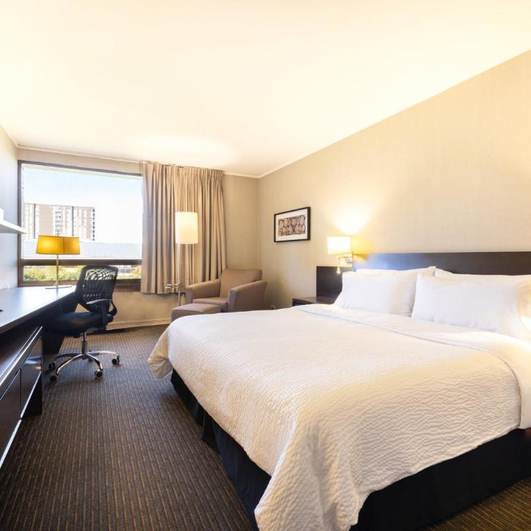 Holiday Inn Express - Temuco by IHG - Habitación Estándar - Cama extragrande - 5