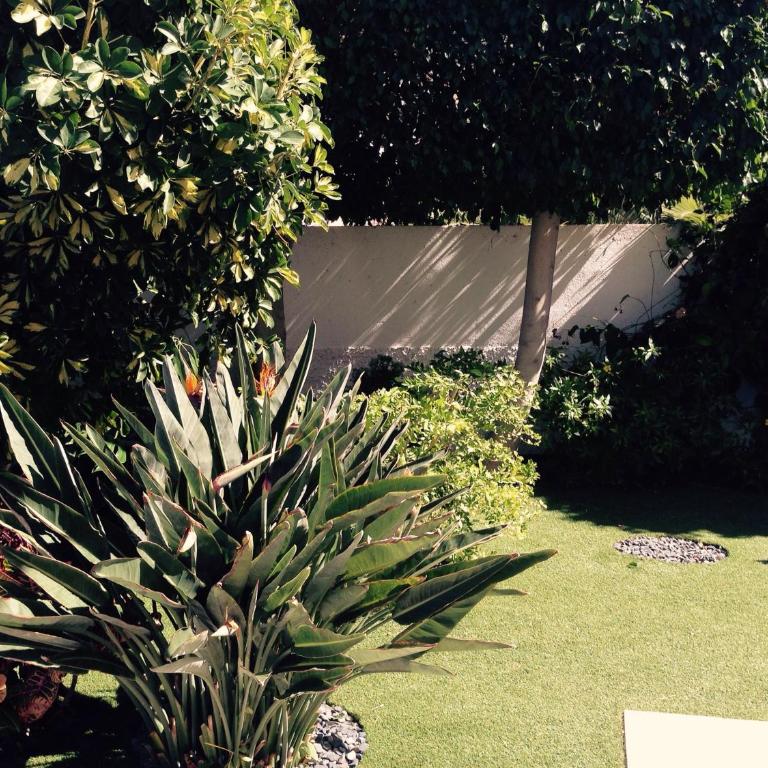 Villa Parque del Conde, Ocean View - Casa - 33