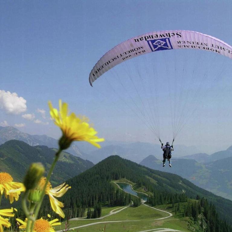 Mountain apartment with balcony for families - Ferienhaus mit 2 Schlafzimmern - 33