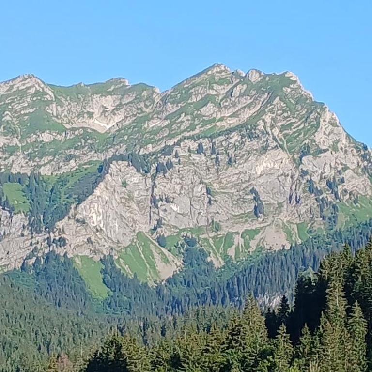 Les Curtillets - Chalet - 38