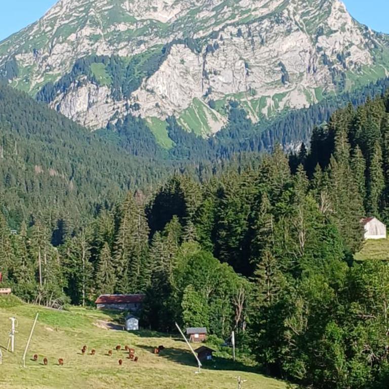 Les Curtillets - Chalet - 39