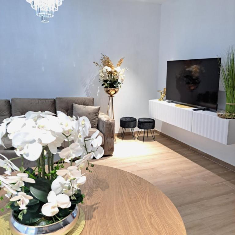 Apartments Pepdjonovic - Apartman sa 2 Spavaće Sobe - 32