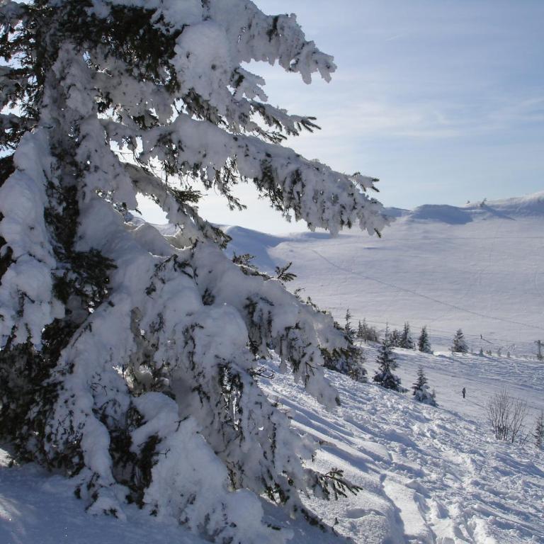 Les Curtillets - Chalet - 31
