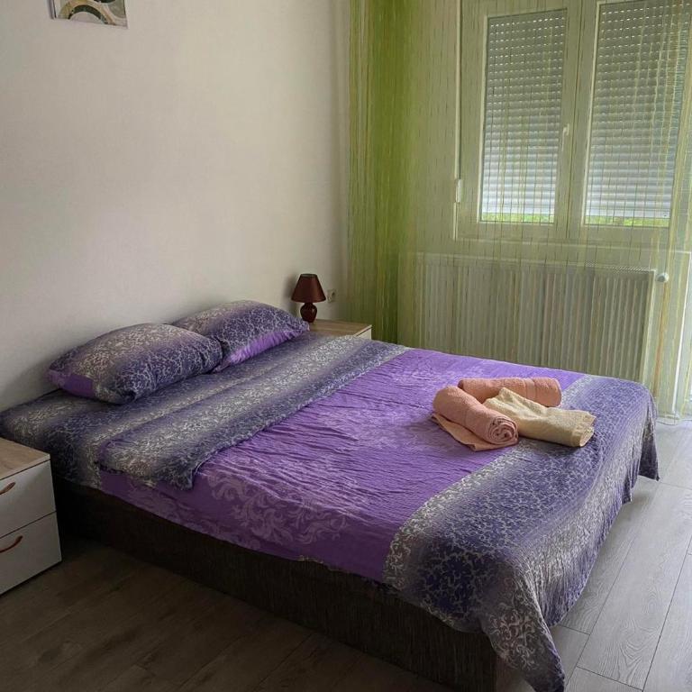 Smestaj Milisavljevic - Apartman sa 2 Spavaće Sobe - 5