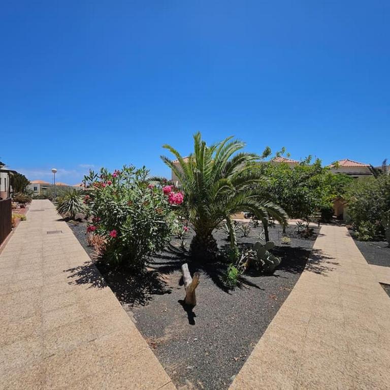 La Casita de Las Lomas - Two-Bedroom House - 23