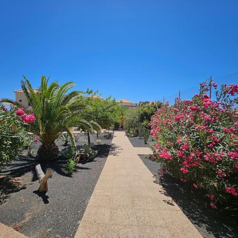 La Casita de Las Lomas - Two-Bedroom House - 30