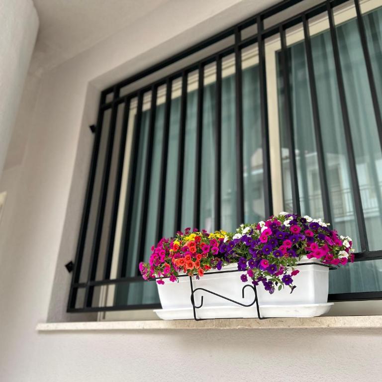 Matteotti35 - Appartamento - 26