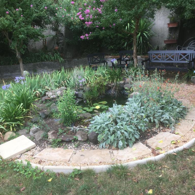 Garden Annexe 2 - Maison 1 Chambre - 18