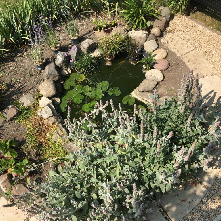 Garden Annexe 2 - Maison 1 Chambre - 19