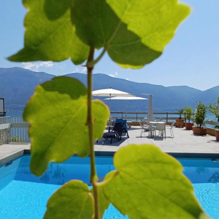 Sollevante Ascona mit Pool und fantastischer Seesicht - Appartamento con 1 Camera da Letto - 18