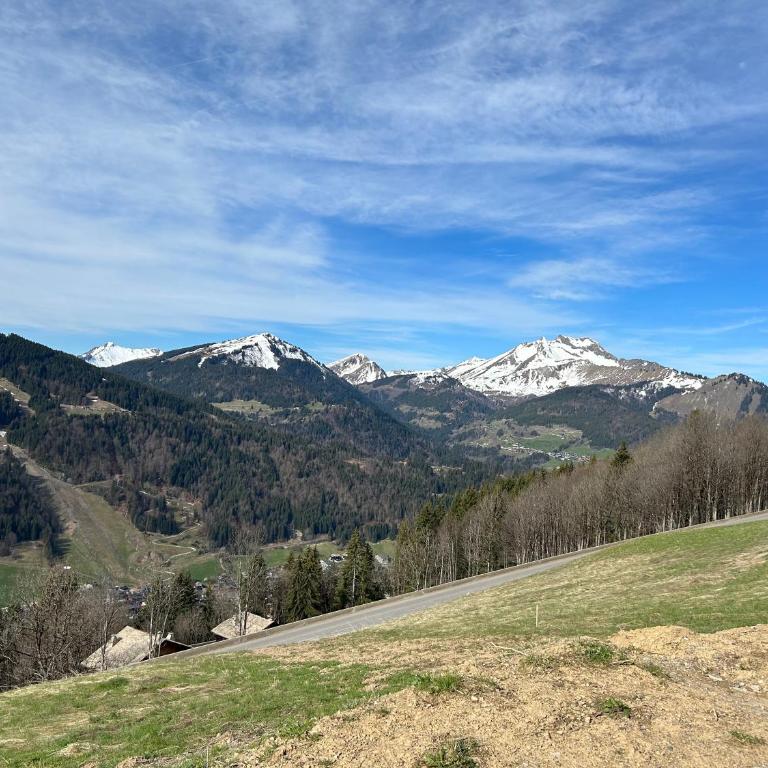 Chalet Morzine La petite grange - Two-Bedroom Apartment - 3