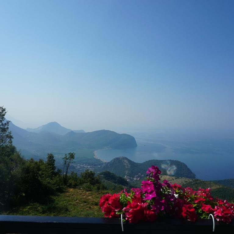 Hill Homes Montenegro - Double Room with Balcony and Sea View - 9