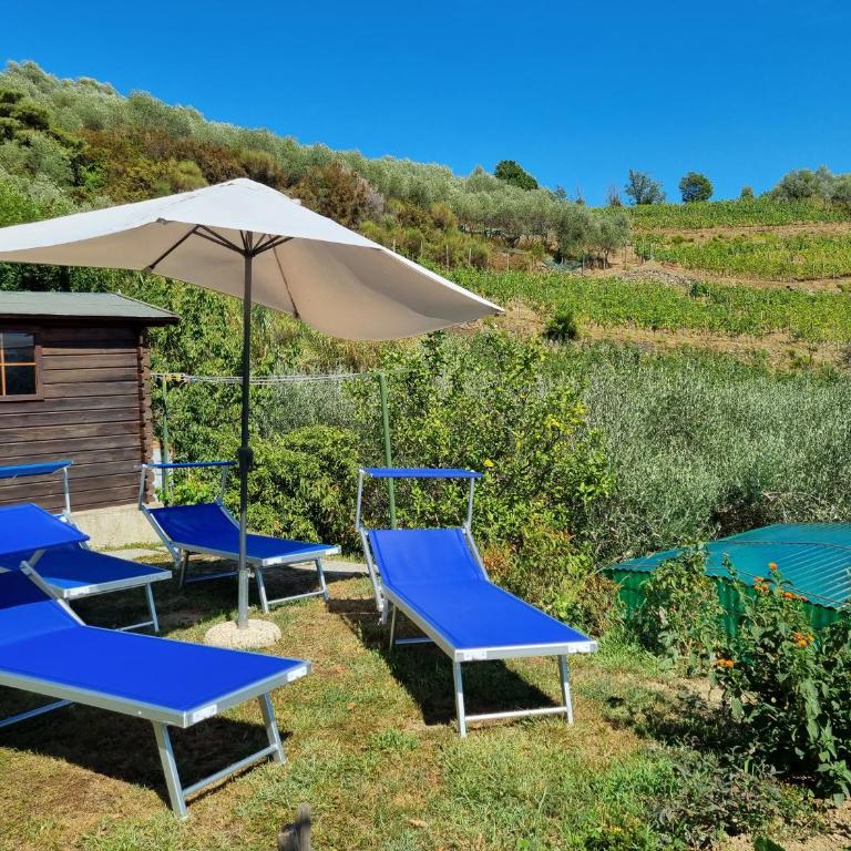 villino indipendente eden levanto - Casa con 2 Camere da Letto - 24
