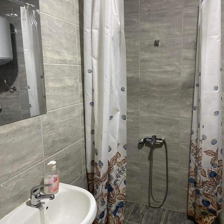 Smestaj Milisavljevic - Apartman sa 2 Spavaće Sobe - 3
