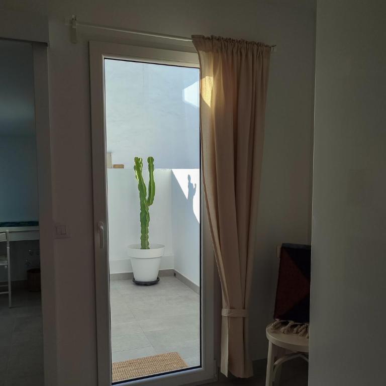 Casa Oceánica - Lanzarote - Apartamento de 1 dormitorio - 43