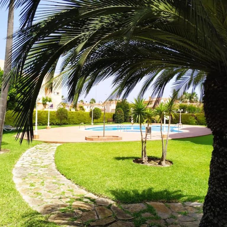 Oliva Nova - Blue Flag Beach and Golf On-Site - Apartamento de 1 dormitorio - 33