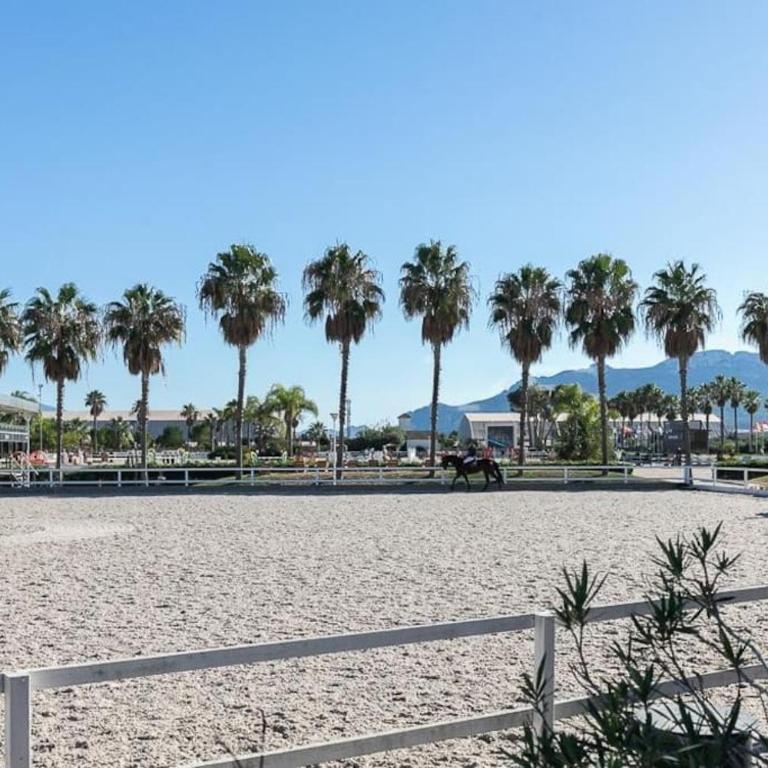 Oliva Nova - Blue Flag Beach and Golf On-Site - Apartamento de 1 dormitorio - 38