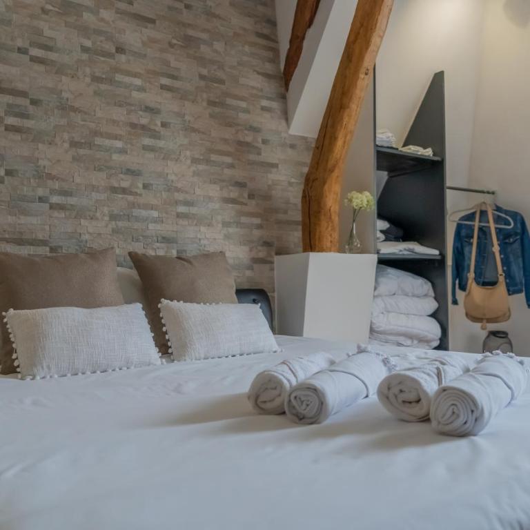 Gîte romantique au coeur d'Amboise - Tout à pied - One-Bedroom Apartment - 14