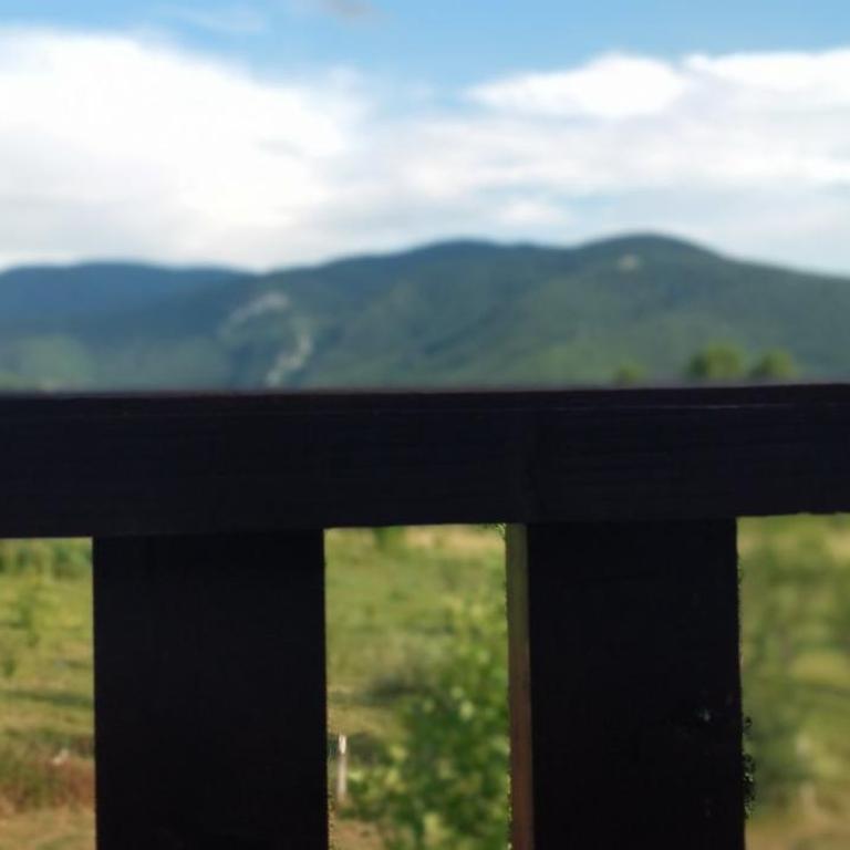 Apartman ANA 1 - Apartman sa 1 Spavaćom Sobom - 6