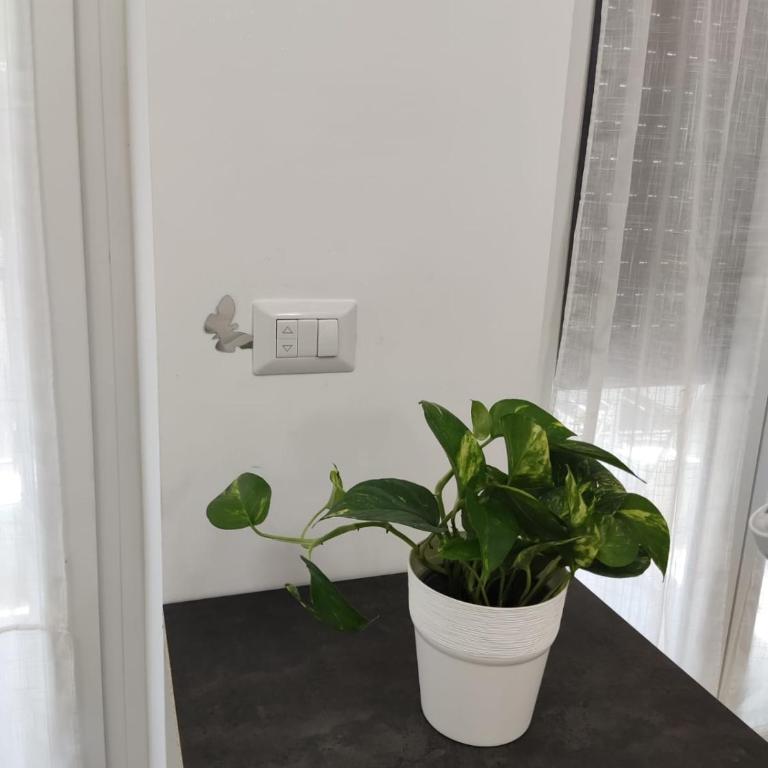 ROMAN'S HOUSE - Appartamento con 1 Camera da Letto - 19