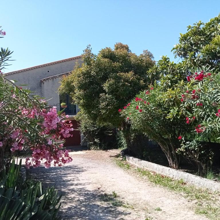 Maison individuelle plein centre avec jardin ,au pied du Mont Ventoux - Maison 3 Chambres - 15